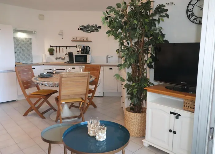 Joli T2 Climatise Avec Terrasse Et Parking A Sete - Fr-1-472A-292 Sète